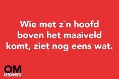 Accountants maaiveld